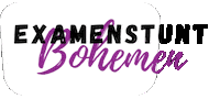 Marisbohemen Sticker by Maris College