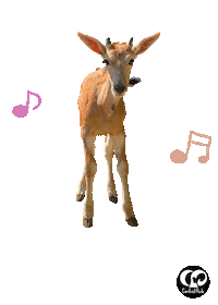 Eland Sticker by HcpSafari