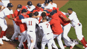 Regular Season Sport GIF by MLB