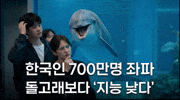 배급견 GIF