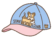 Fashion Home Sticker by corgiyolk