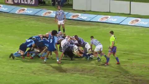 dylanmatthewjack giphygifmaker cut uct varsity cup GIF