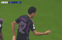 Champions League Football GIF by UEFA
