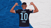 Bundesliga Berlin GIF by Hertha BSC
