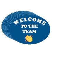 Team Aviation Sticker by Ameriflight