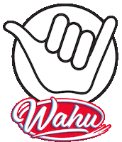 WahuAU fun summer toys outdoor Sticker