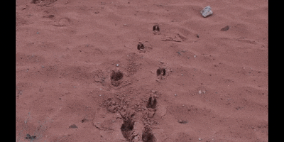 Earth Science Education GIF by DIIMSA Stock