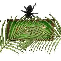 Ichbineinstar Dschungel Camp Sticker