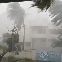 Cyclone Gaja Wreaks Havoc in Pudukkottai, India
