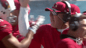 Arizona Cardinals Love GIF by NFL