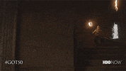 Season 1 Hbo GIF by Game of Thrones