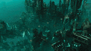 GIF by Wired Productions