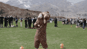 Fall Fail GIF by coloradoschoolofmines