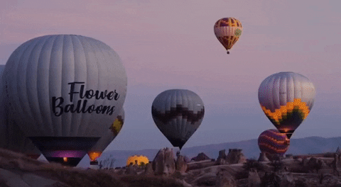 flowerballoons balloons balon cappadocia GIF