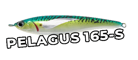 Jackfinlures Sticker by Jack Fin