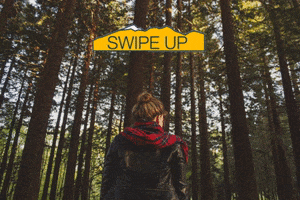 GIF by NAU Social