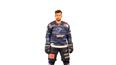 ercingolstadt giphyupload celebration hockey wave Sticker