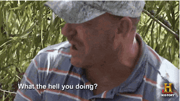troy landry history GIF