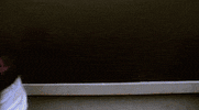 flanderscompany ninja kevin discretion flanderscompany GIF