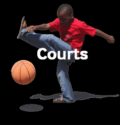 CourtsforKids giphygifmaker sports basketball kids GIF