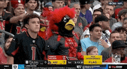 National Football League GIF by NFL