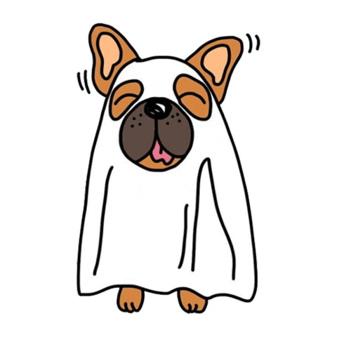 fun party Sticker by Ivo Adventures