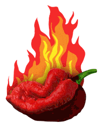 Ghost Pepper Chile Sticker by CampbellsCanada