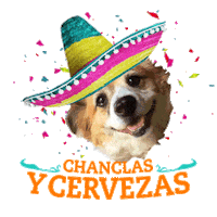 fiesta texas Sticker by Brooks