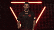 Mainz 05 Cheering GIF by Bundesliga