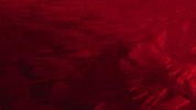 Hockey Ahl GIF by Iowa Wild