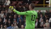 Premier League Football GIF by Liverpool FC