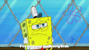 season 9 GIF by SpongeBob SquarePants