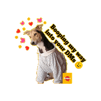 PedigreeVDay pedigree pedigreelove pedigreedog pedigreestickers Sticker
