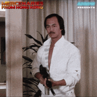 Martial Arts Fighting GIF by Arrow Video