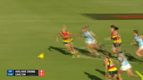 phillips GIF by Adelaide Crows