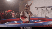 bullettime GIF by Theflug360