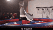 bullettime GIF by Theflug360