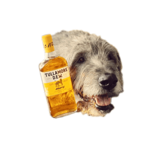 tullamoredew-event giphyupload honey grilling med Sticker