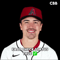 Arizona Diamondbacks Baseball GIF