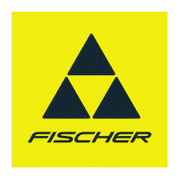 Alpine Skiing Logo Sticker by FischerSports