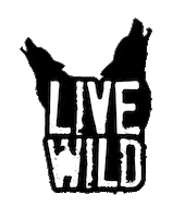 Live GIF by Soliści #dreamsintomemories