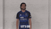 Soccer Celebrate GIF by San Jose Earthquakes