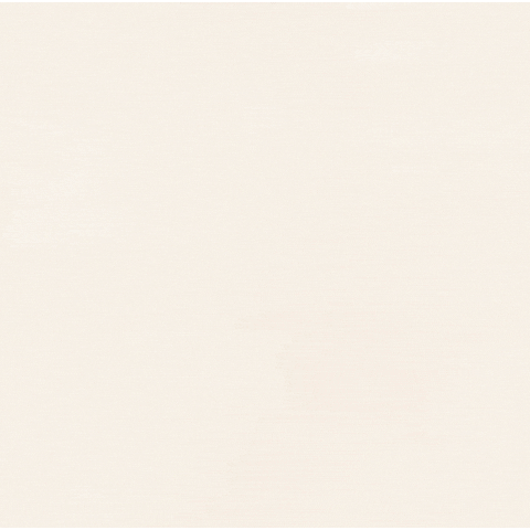 Store Andrew GIF by Exclusive Brands