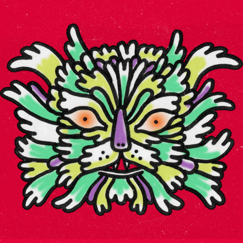 cat dragon GIF
