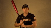 Mke GIF by Milwaukee Panthers