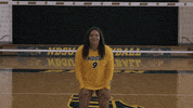 Volleyball Johnson GIF by NDSU Athletics