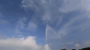 GIF by Wilson Golf