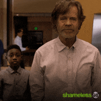 Season 10 Showtime GIF by Shameless