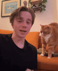 Cat Yawn GIF