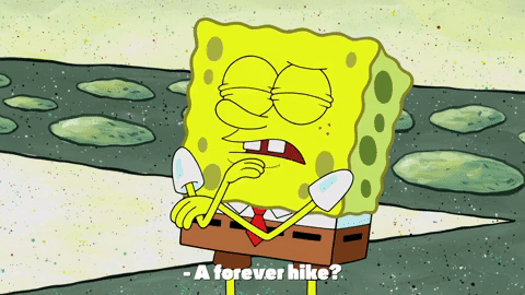 season 9 episode 21 GIF by SpongeBob SquarePants